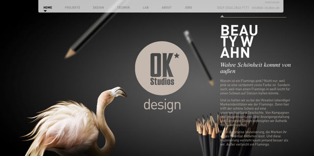 xu hướng thiết kế web 2013