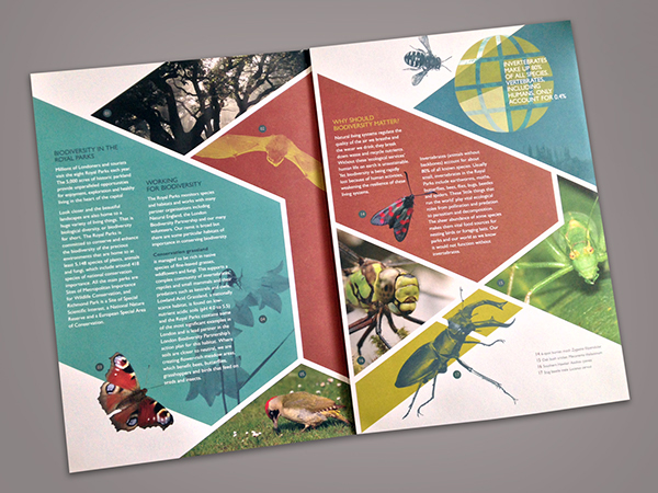 thiết kế in ấn brochure hiệu quả, sáng tạo